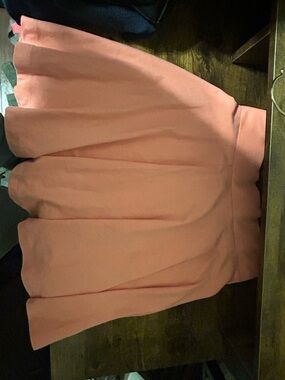 Divided Peach Circle Skater Skirt women size 4